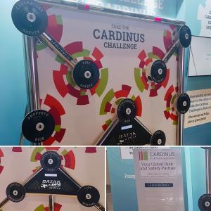Branded Batak Pro and leaderboard