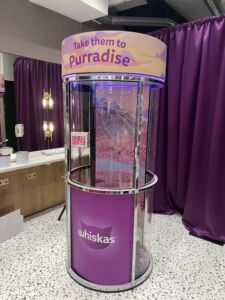 Cash Grabber Machine Hire