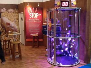 A cash grabber game set up on a trade stand at an exhibition.