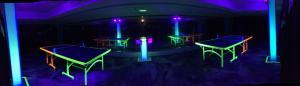 2 Table Tennis tables complete with UV Lighting