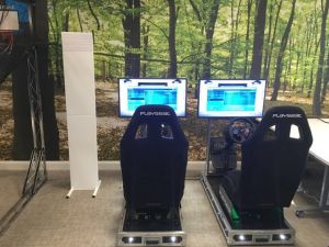 Race Simulator with leaderboard