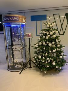 christmas tree and snowando