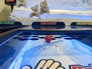 Christmas Roll and Bowl Reindeer Racing Hire