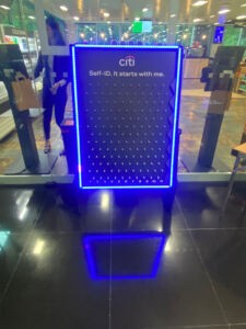 Plinko with LED Lights and Branding